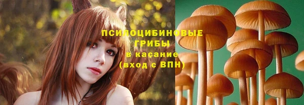 прущие крисы Нягань