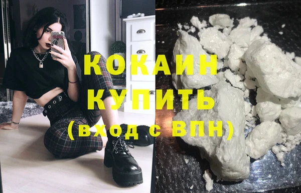 твердый Няндома