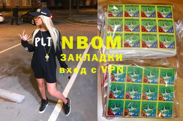 твердый Няндома