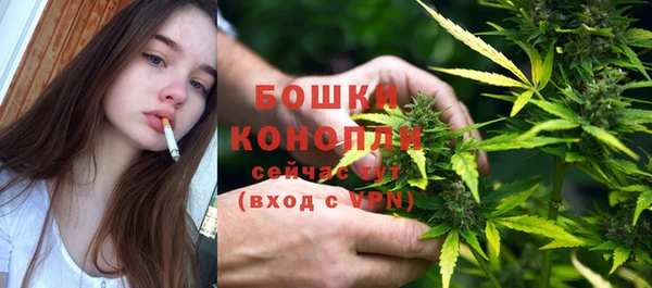 твердый Няндома