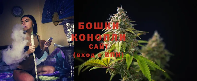 Бошки Шишки SATIVA & INDICA  блэк спрут онион  Заозёрный  закладки 